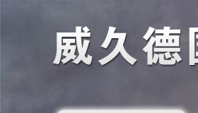 威久德國語言考試實(shí)用手冊