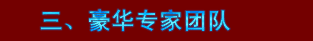 豪華專家團(tuán)隊(duì)