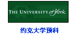 約克大學預科